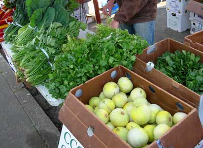 Wild Rose Farmers Market Stand